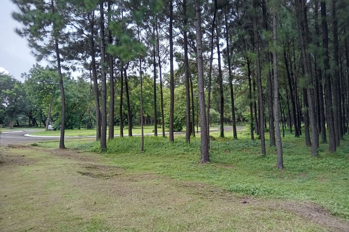 Land for Sale in Promenade, Santo Domingo, Santa Rosa, Laguna – photo 4