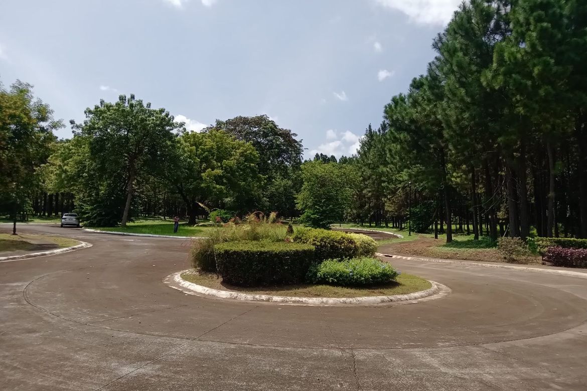 Land for Sale in Promenade, Santo Domingo, Santa Rosa, Laguna – photo 5