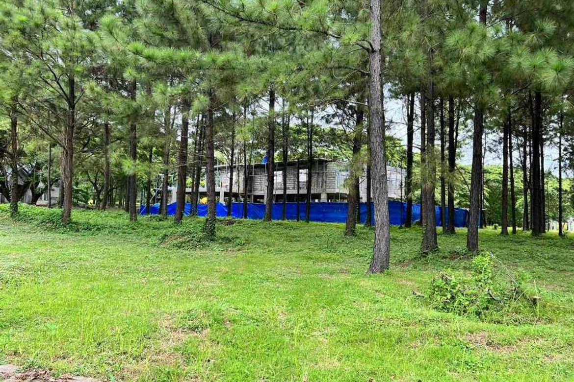 Land for Sale in Promenade, Santo Domingo, Santa Rosa, Laguna – photo 2