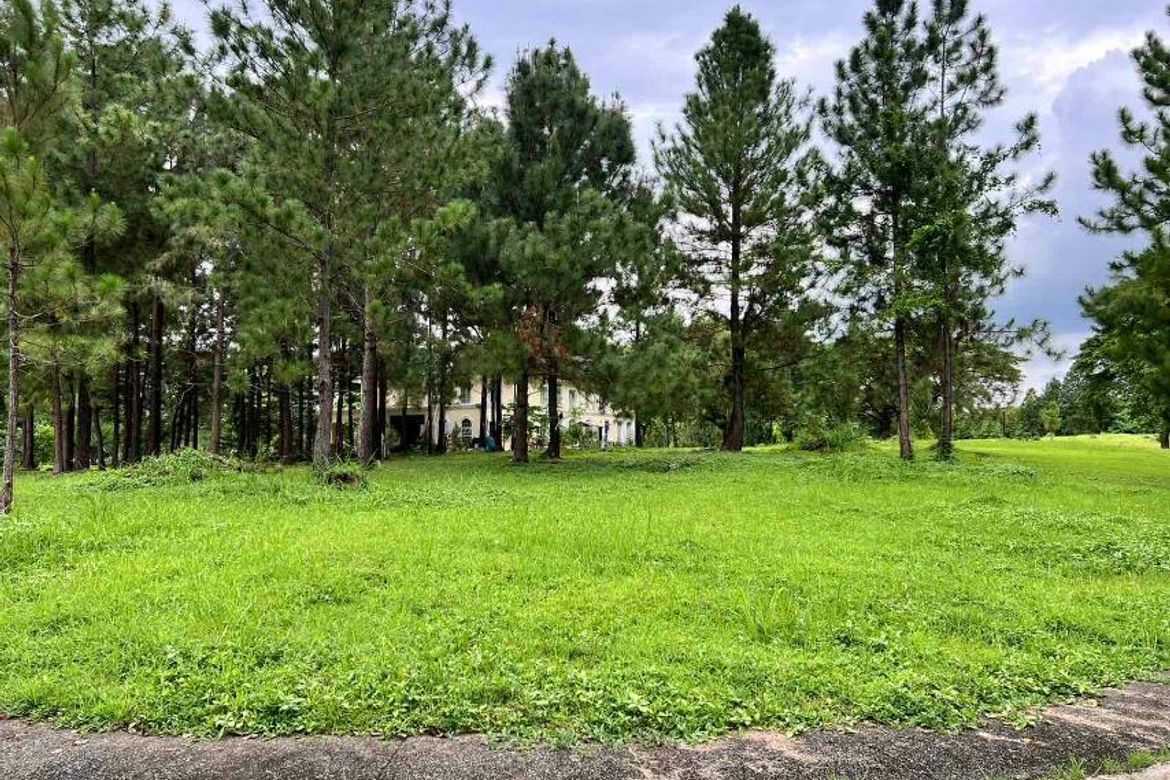 Land for Sale in Promenade, Santo Domingo, Santa Rosa, Laguna – photo 6