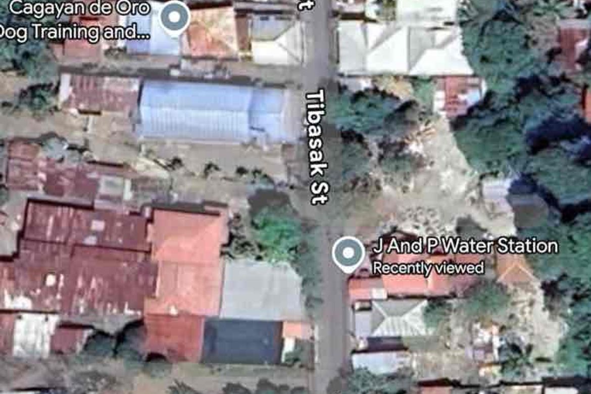 Land for Sale in Pualas, Baungon, Bukidnon – photo 2