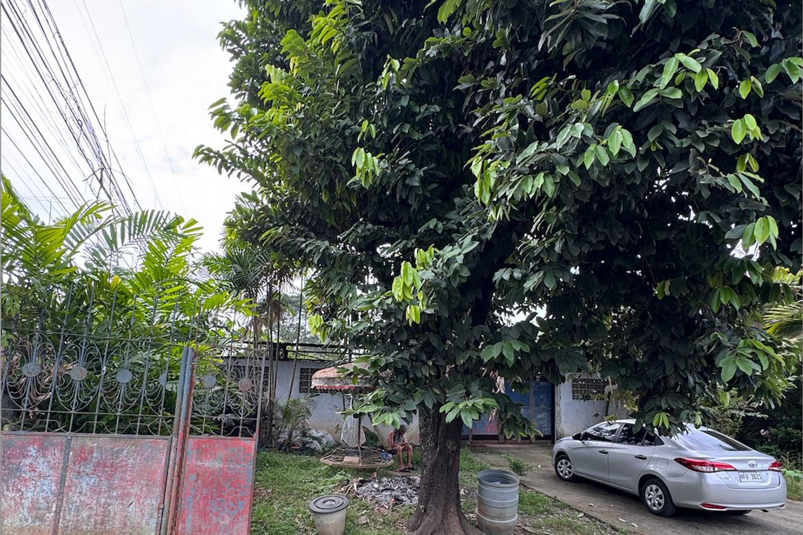 Land for Sale in Pualas, Baungon, Bukidnon – photo 4