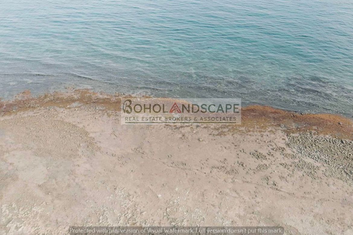 Land for Sale in Puangyuta, Dimiao, Bohol