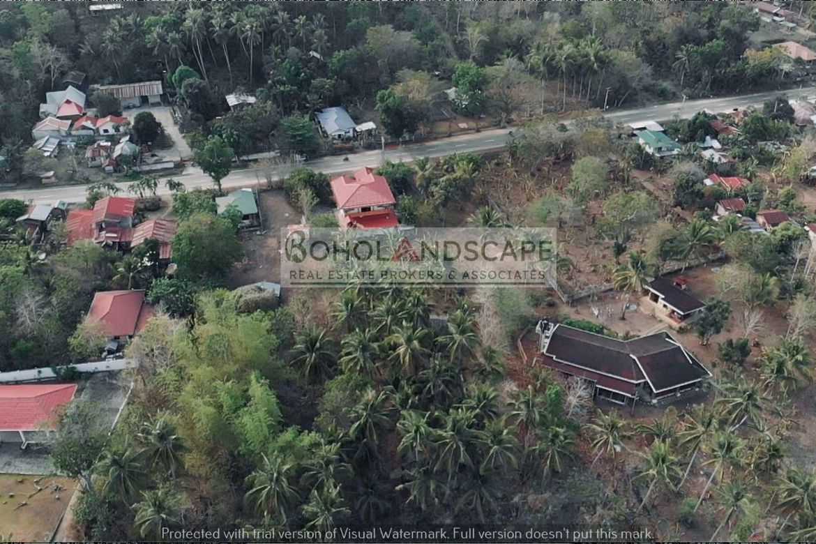 Land for Sale in Puangyuta, Dimiao, Bohol – photo 3
