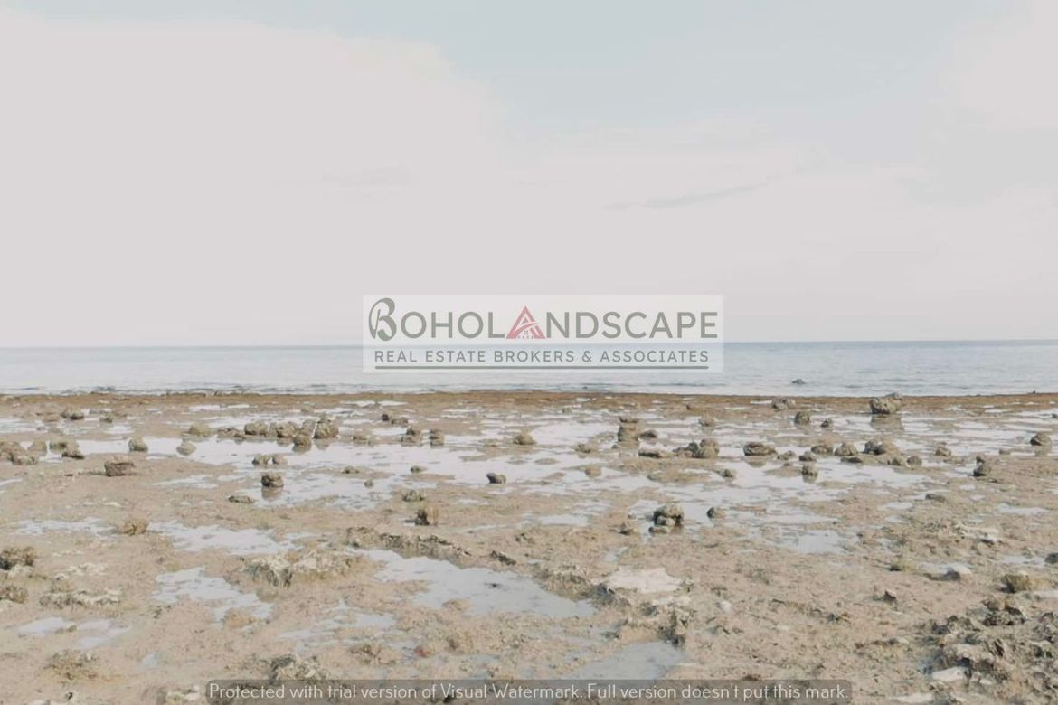 Land for Sale in Puangyuta, Dimiao, Bohol – photo 4