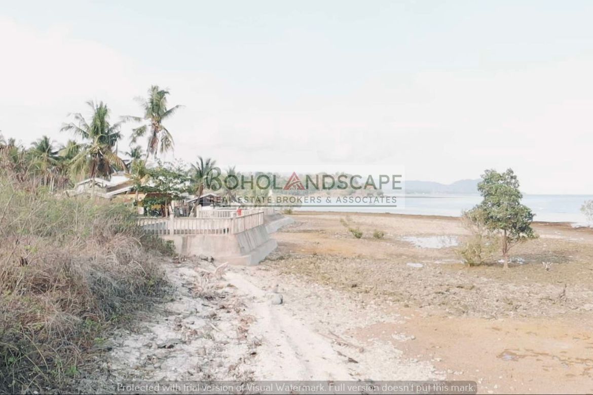 Land for Sale in Puangyuta, Dimiao, Bohol – photo 5