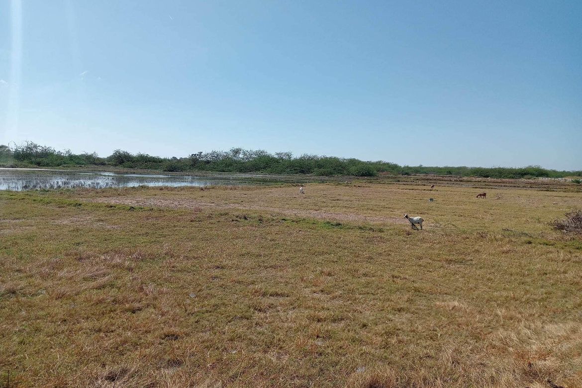 Land for Sale in Pudoc, San Vicente, Ilocos Sur – photo 3