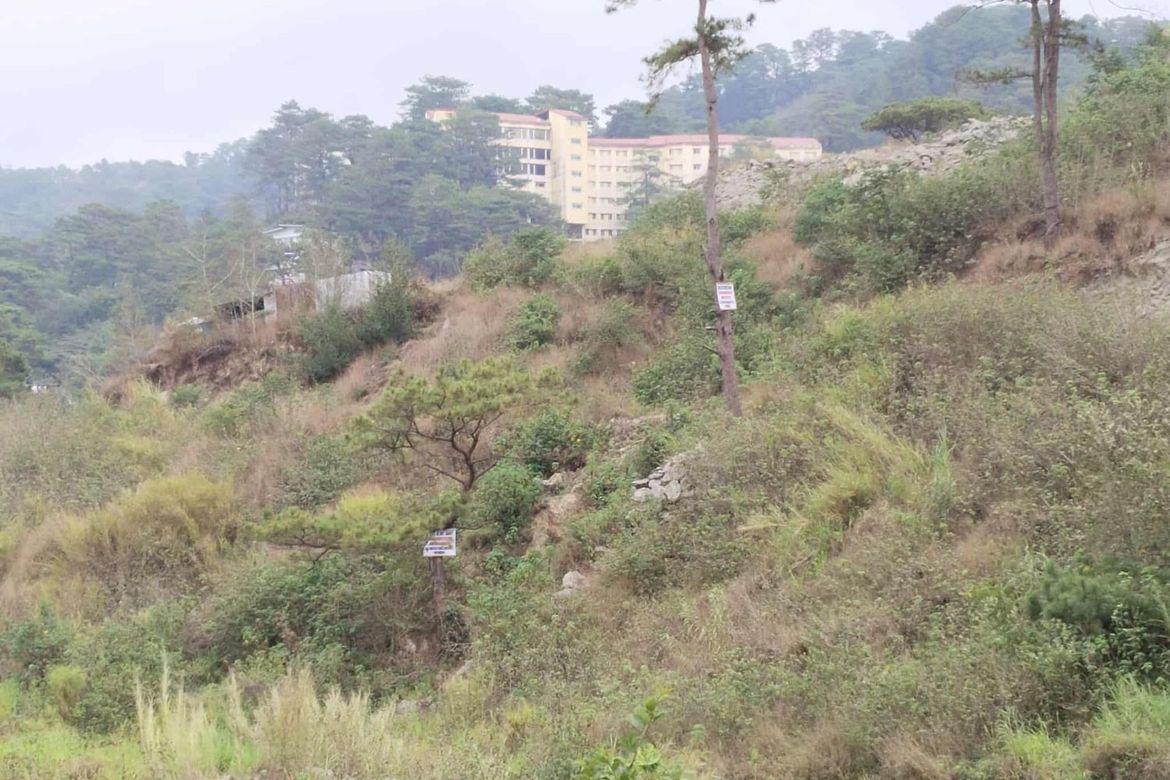 Land for Sale in Puguis, La trinidad, Benguet – photo 6