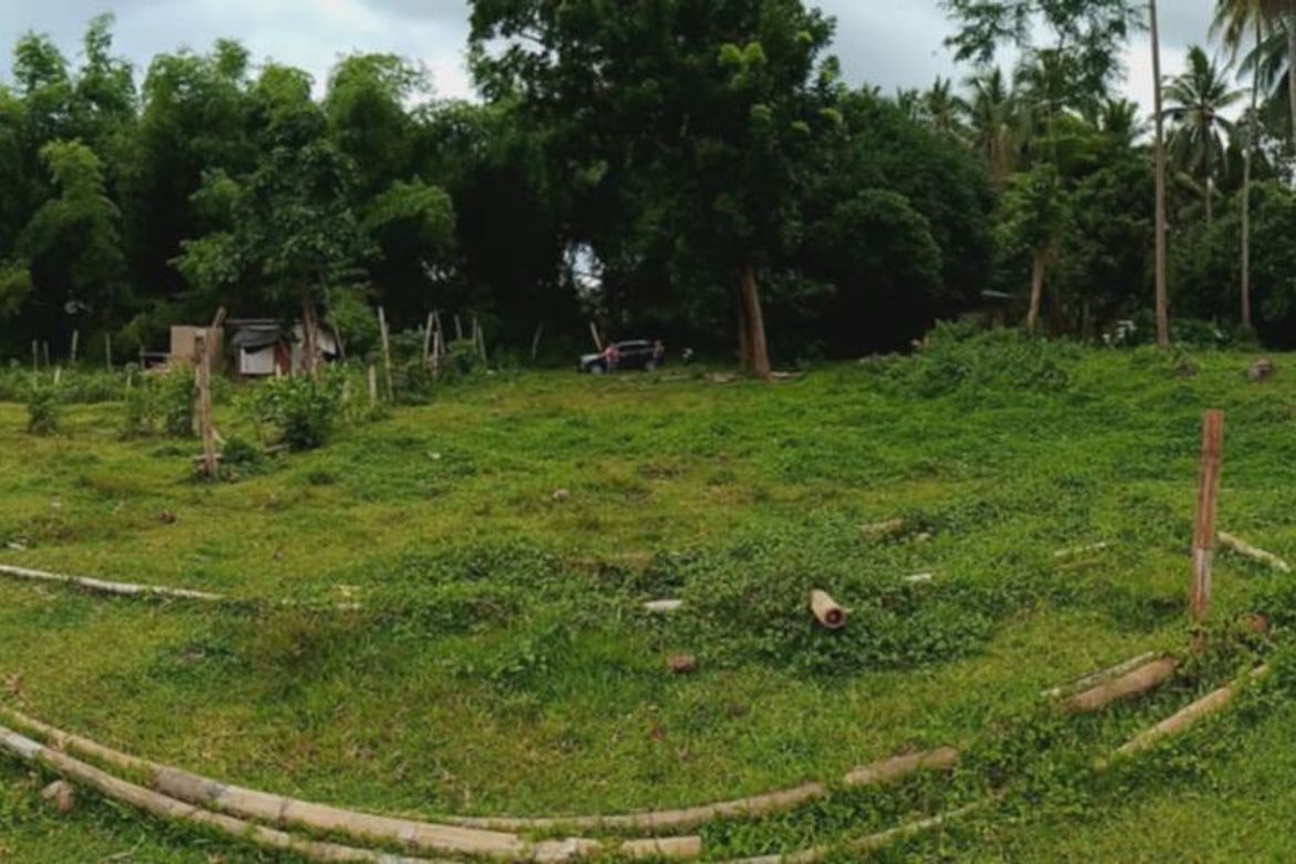 Land for Sale in Puhagan, Valencia, Negros Oriental