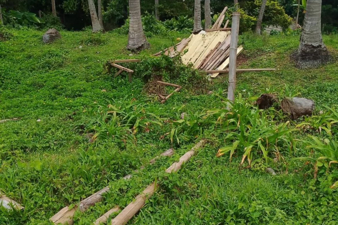 Land for Sale in Puhagan, Valencia, Negros Oriental – photo 4