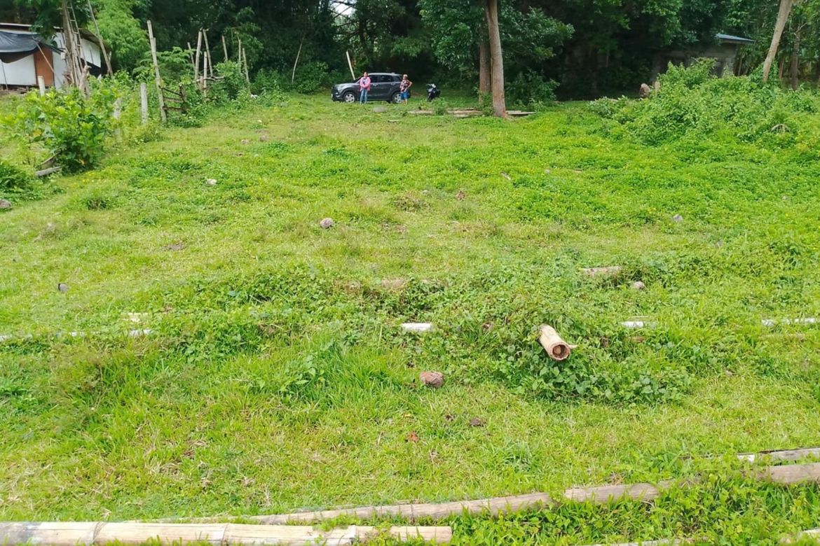 Land for Sale in Puhagan, Valencia, Negros Oriental – photo 6