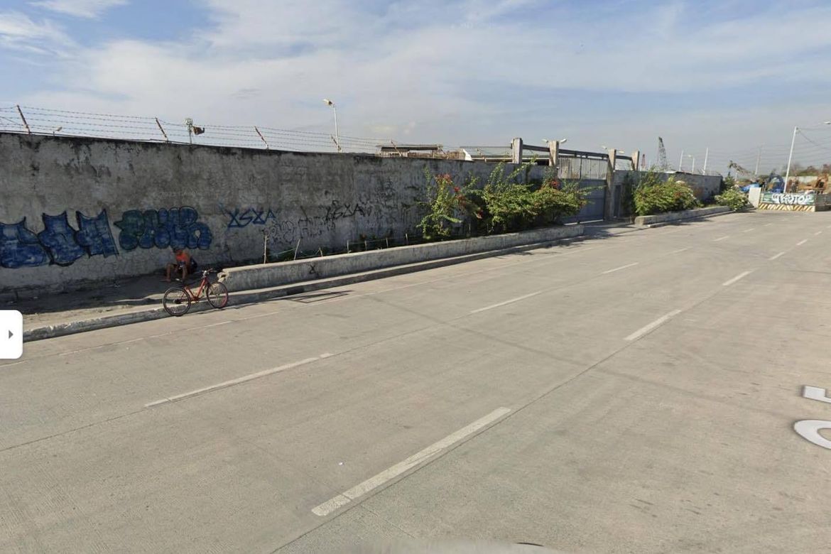 Land for Sale in Pulang Lupa Uno, Las Piñas, Metro Manila – photo 4
