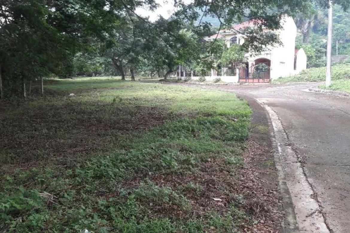 Land for Sale in Pulangbato, Cebu City, Cebu – photo 5
