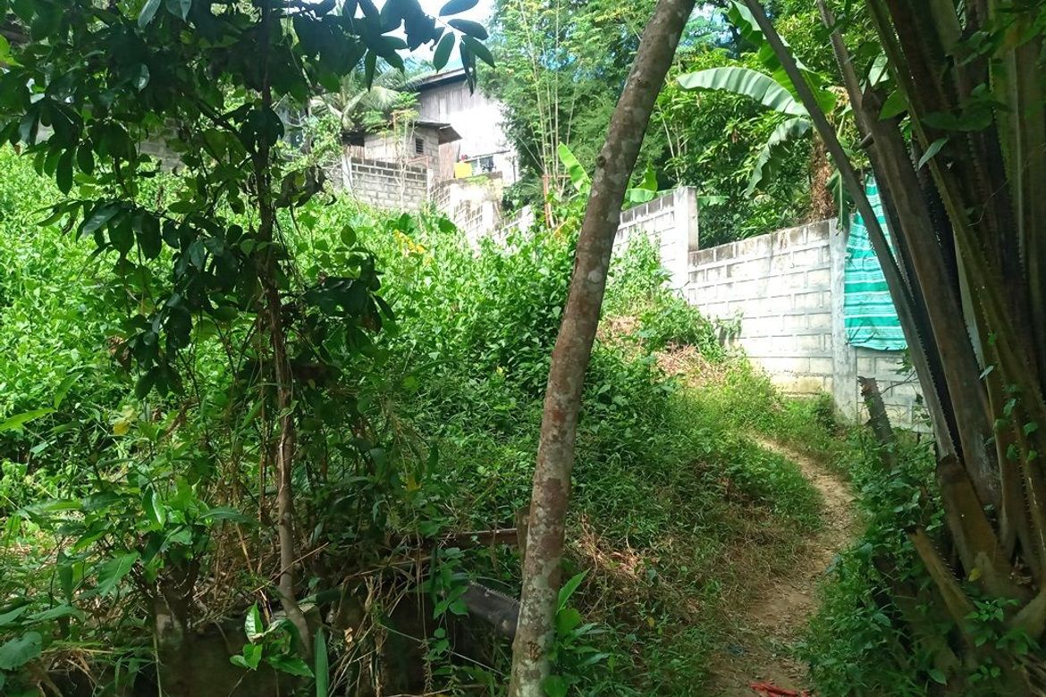Land for Sale in Pulangbato, Cebu City, Cebu – photo 5