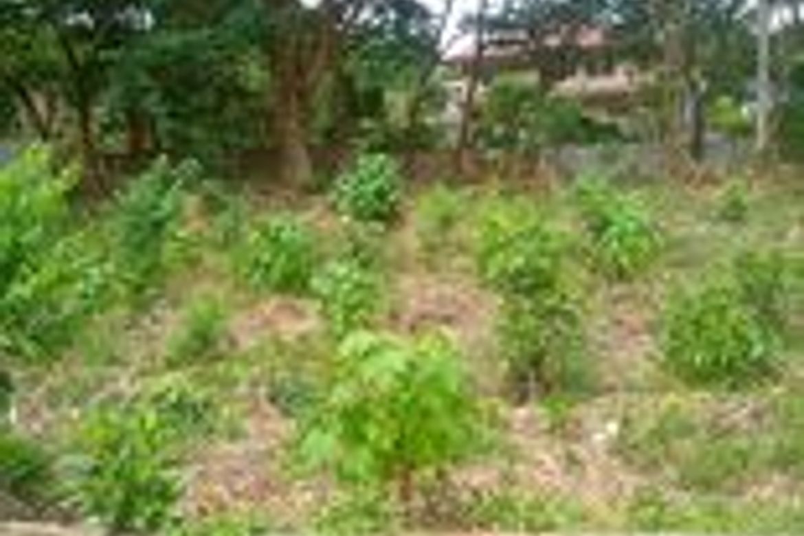 Land for Sale in Pulangbato, Cebu City, Cebu – photo 2