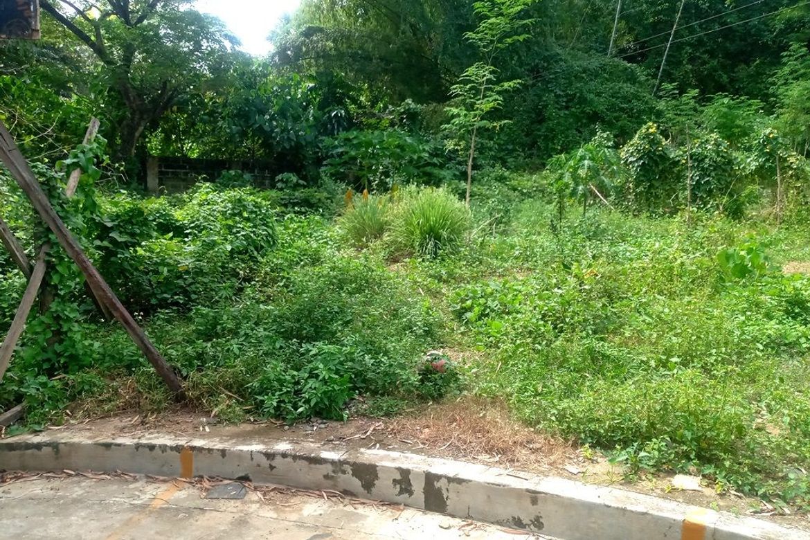 Land for Sale in Pulangbato, Cebu City, Cebu – photo 3