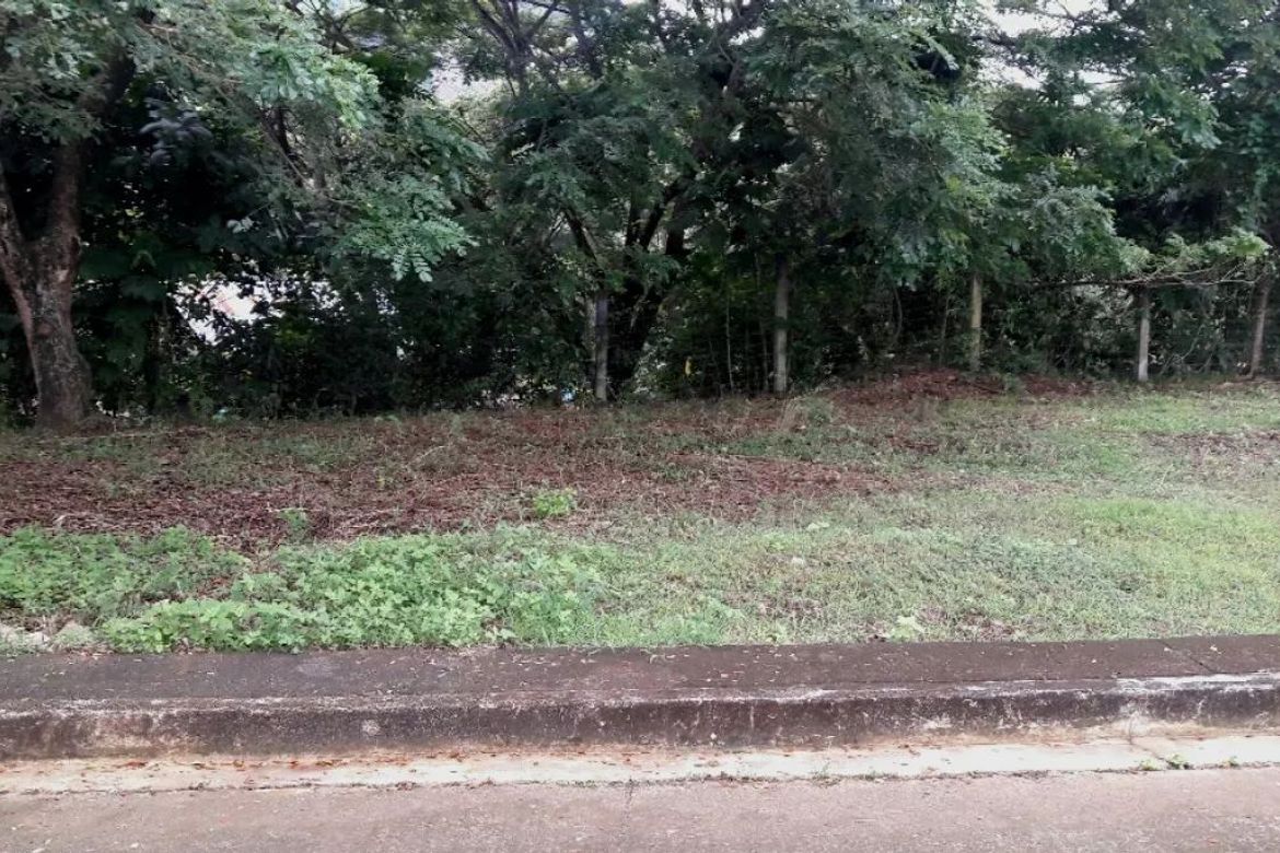 Land for Sale in Pulangbato, Cebu City, Cebu