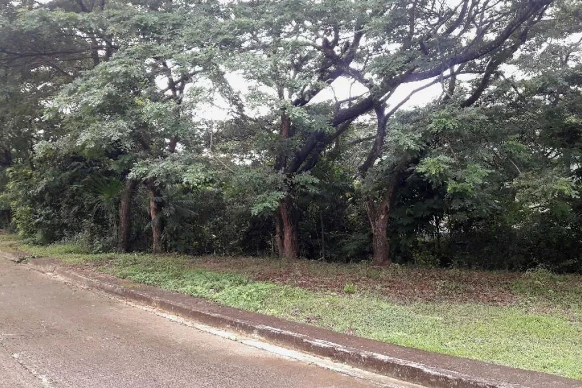 Land for Sale in Pulangbato, Cebu City, Cebu – photo 6