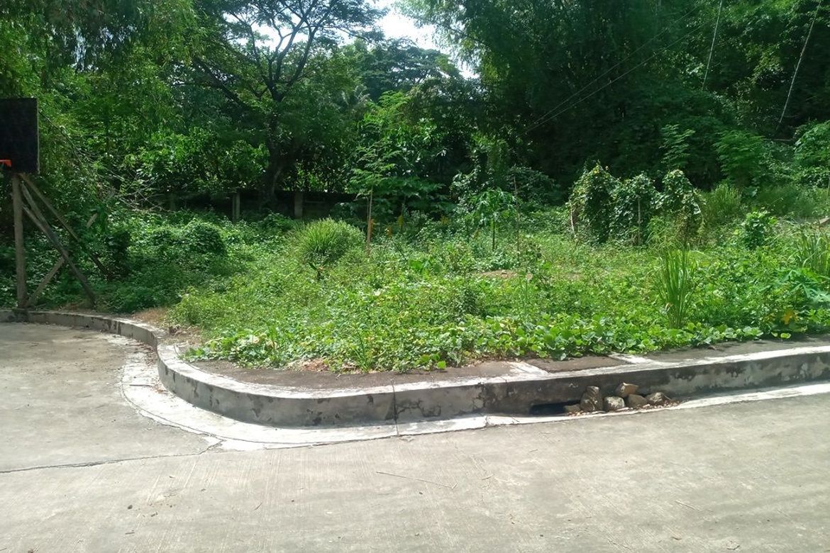 Land for Sale in Pulangbato, Cebu City, Cebu – photo 2