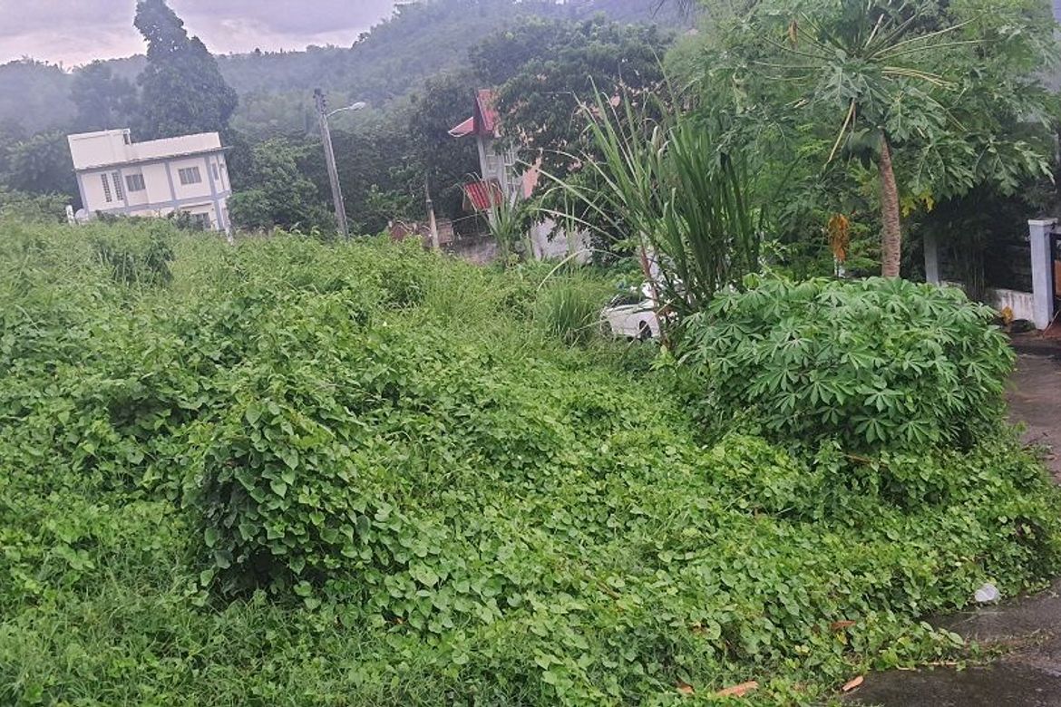 Land for Sale in Pulangbato, Cebu City, Cebu – photo 3