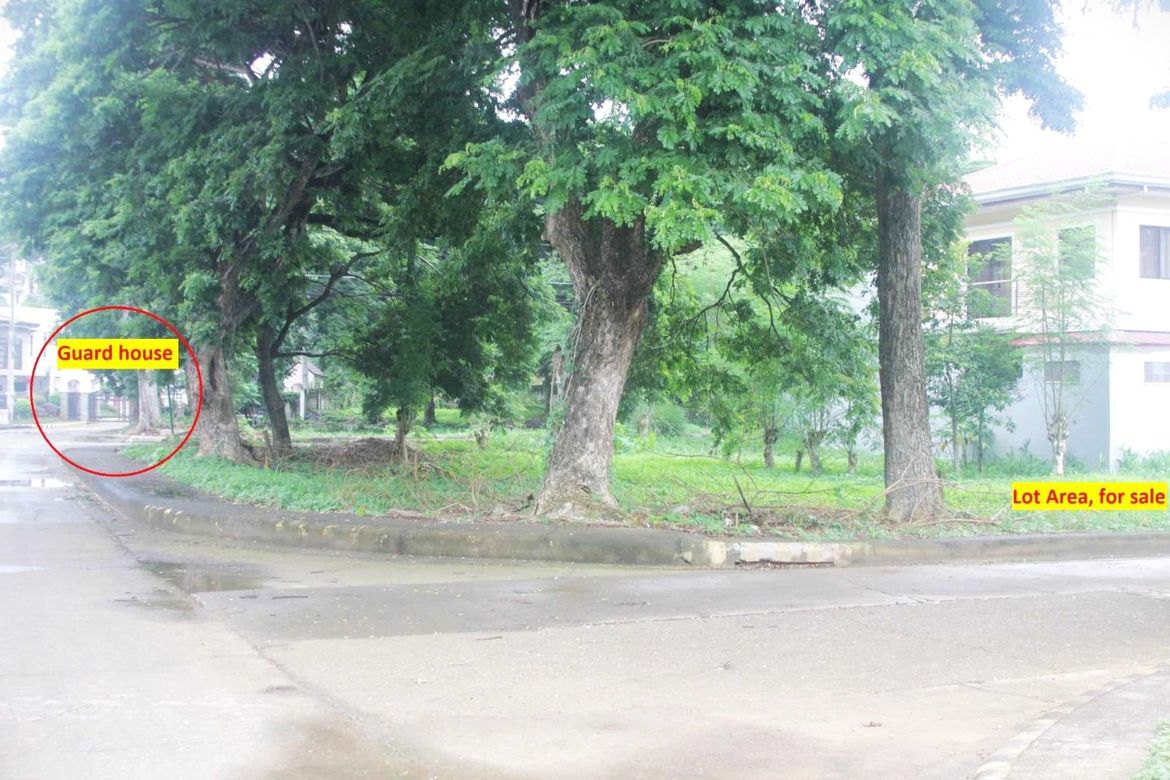 Land for Sale in Pulangbato, Cebu City, Cebu