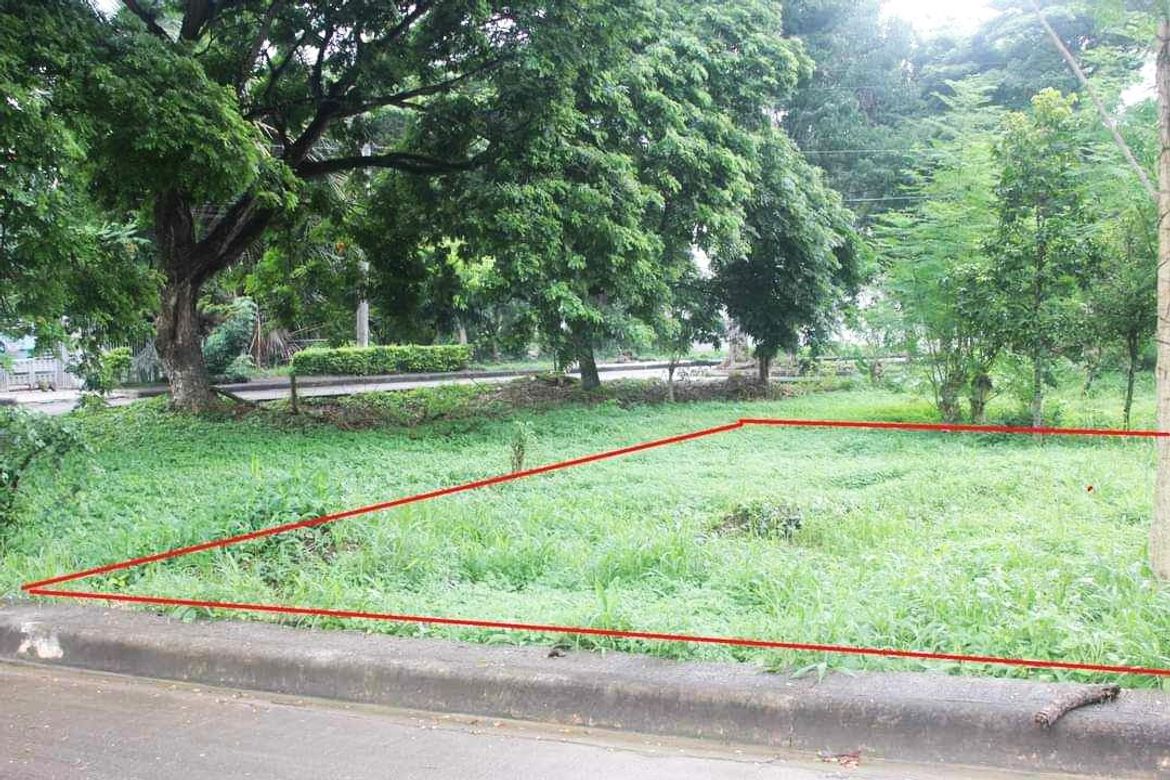Land for Sale in Pulangbato, Cebu City, Cebu – photo 2