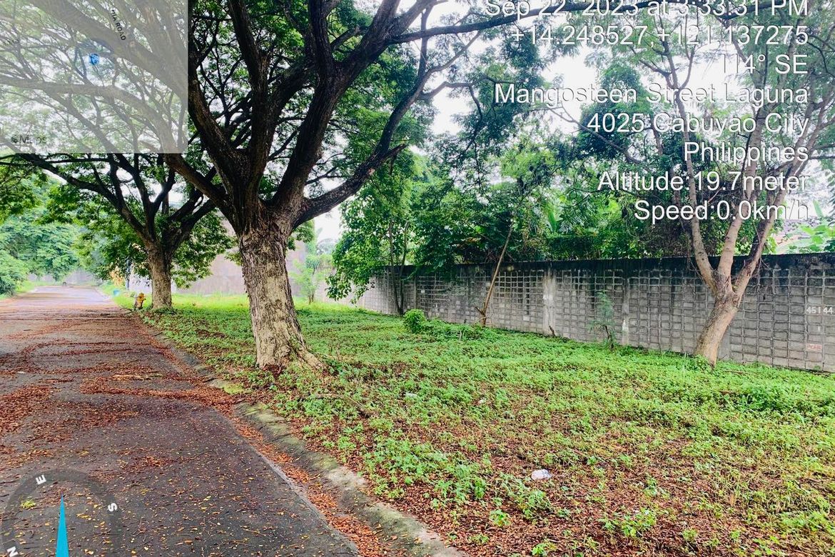 Land for Sale in Pulo, Cabuyao, Laguna – photo 4