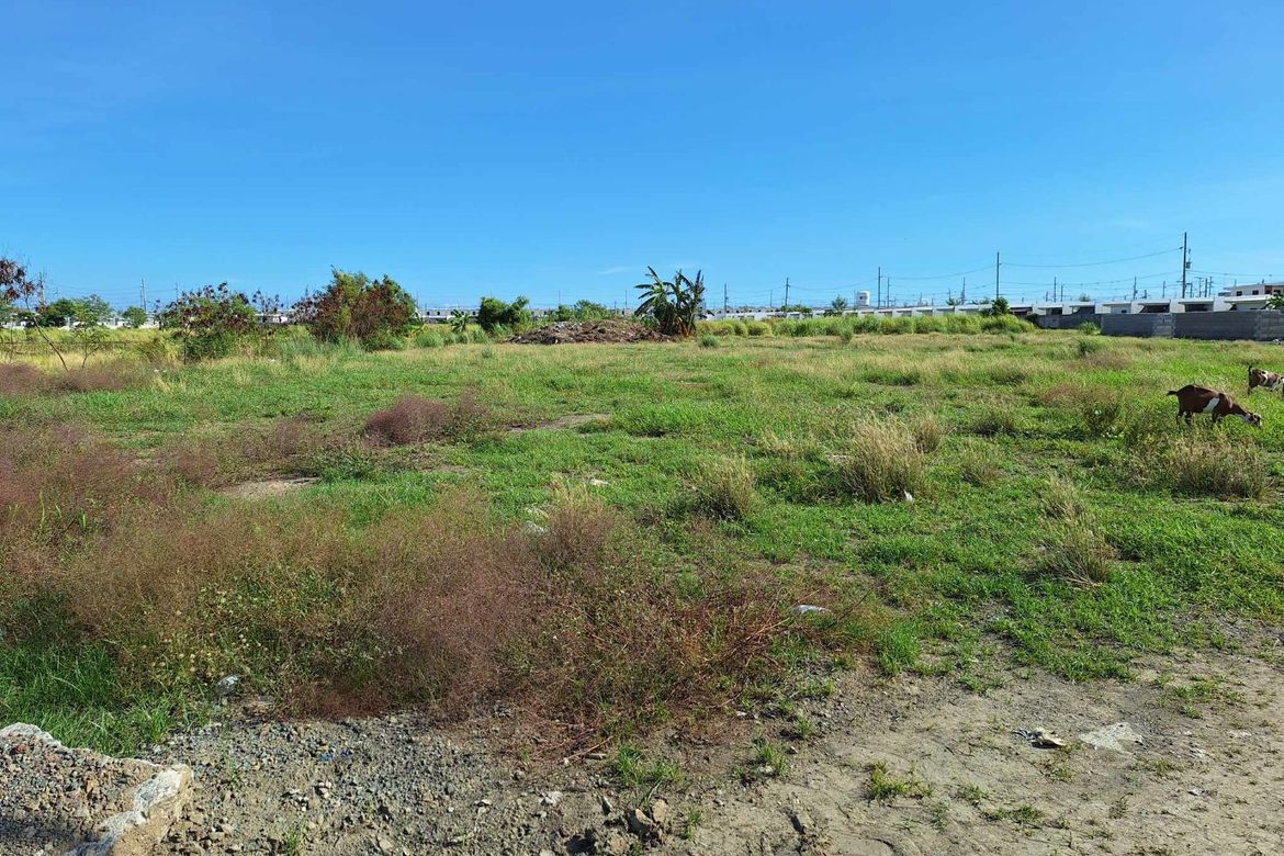 Land for Sale in Pulo, Cabuyao, Laguna – photo 3