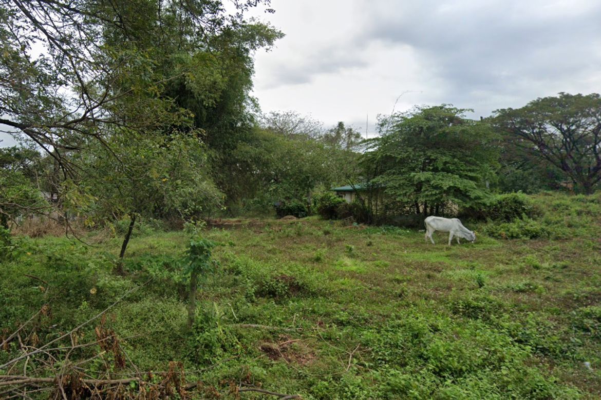 Land for Sale in Pulong Buhangin, Santa Maria, Bulacan – photo 7