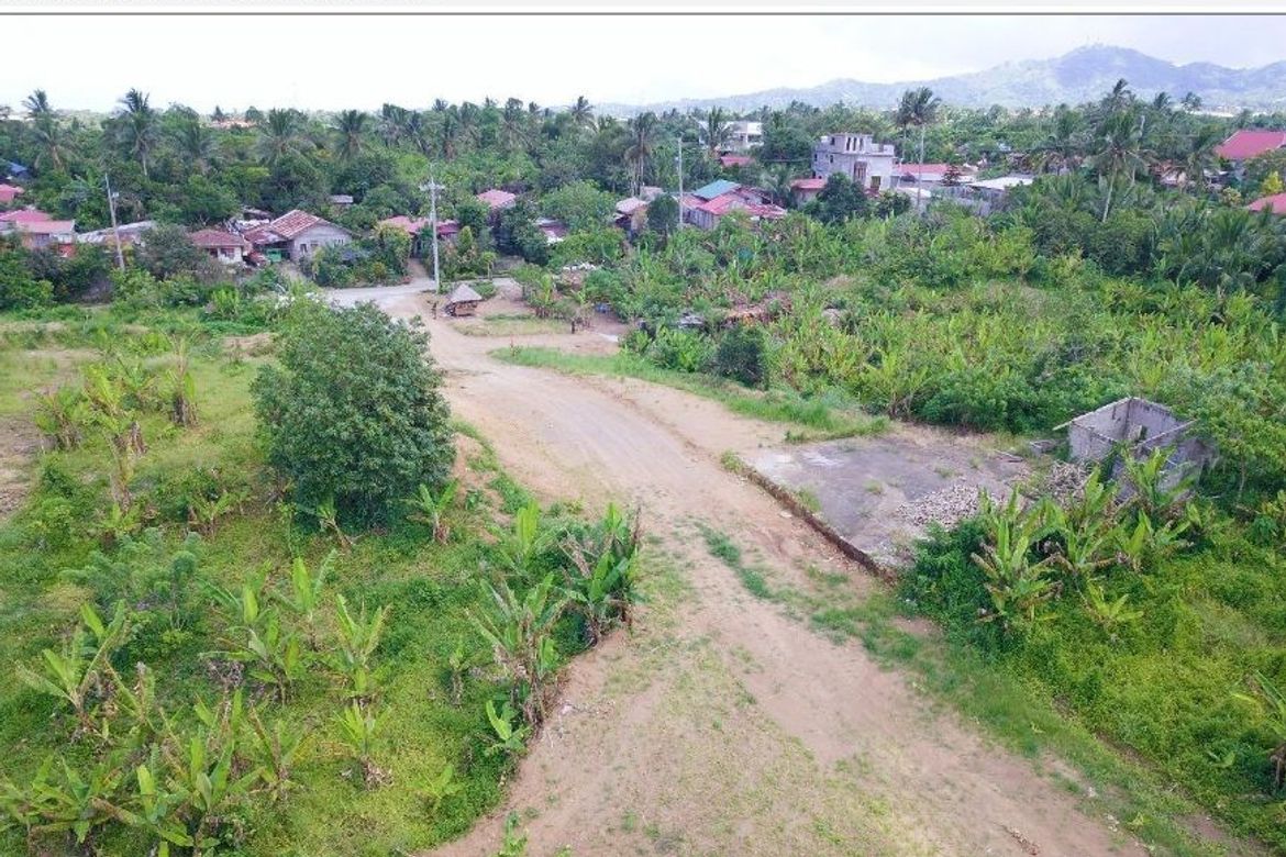 Land for Sale in Pulong Bunga, Silang, Cavite – photo 3