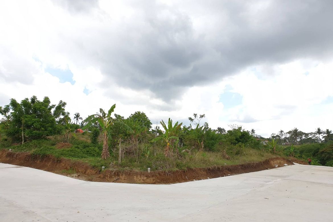 Land for Sale in Pulong Bunga, Silang, Cavite – photo 5