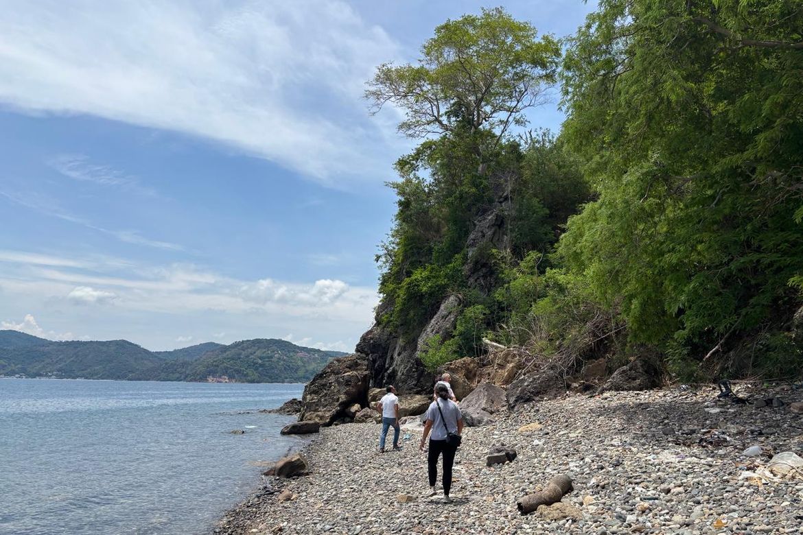Land for Sale in Pulong Niogan, Mabini, Batangas – photo 2