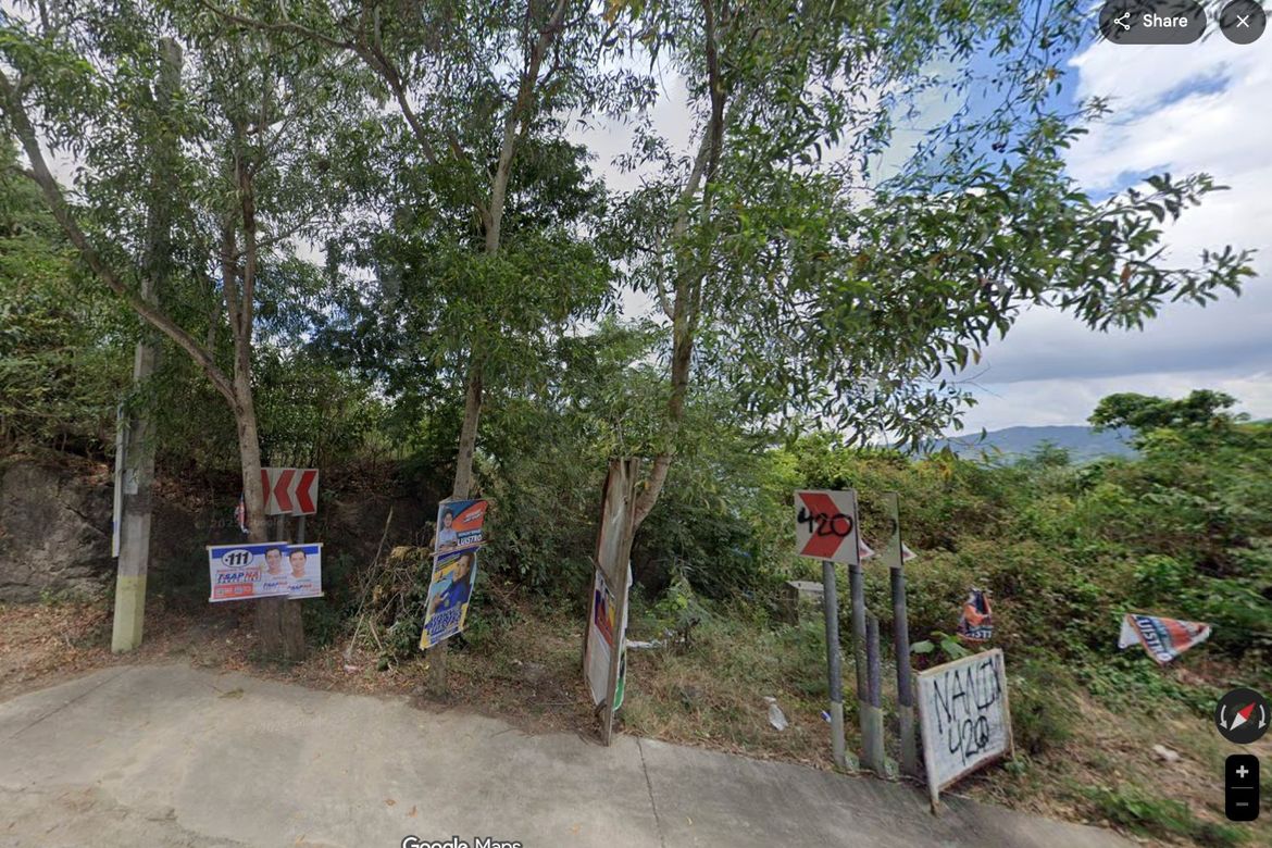 Land for Sale in Pulong Niogan, Mabini, Batangas – photo 5