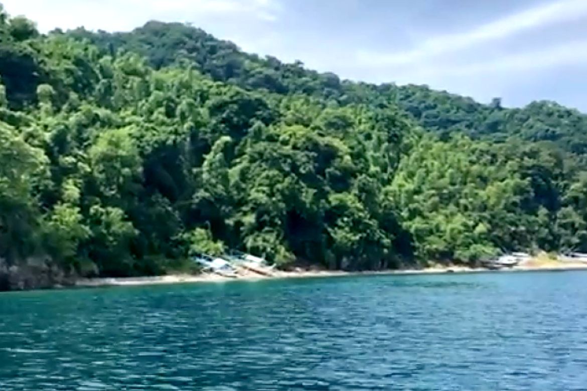 Land for Sale in Pulong Niogan, Mabini, Batangas – photo 6