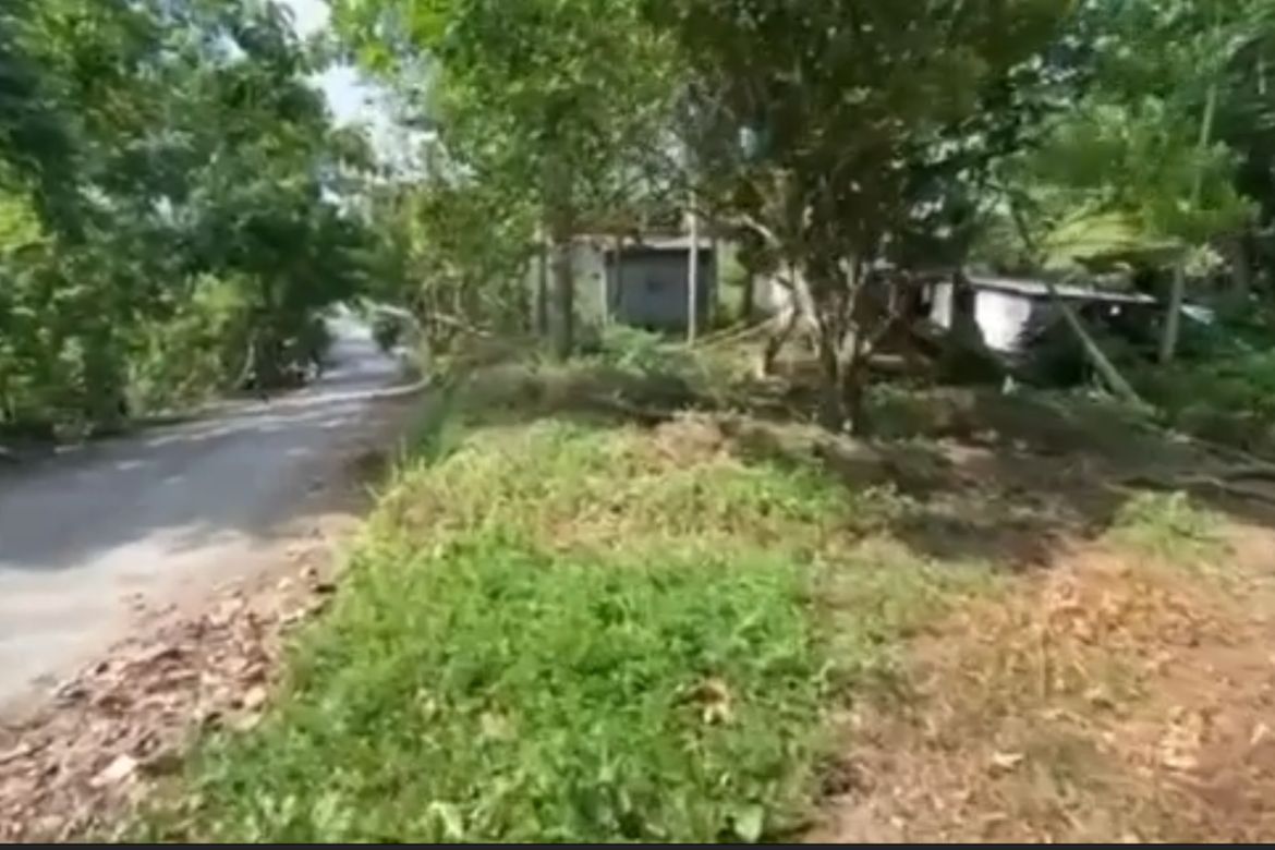 Land for Sale in Pulong Niogan, Mabini, Batangas