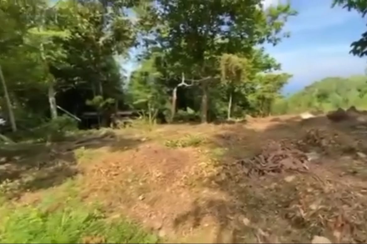 Land for Sale in Pulong Niogan, Mabini, Batangas – photo 3