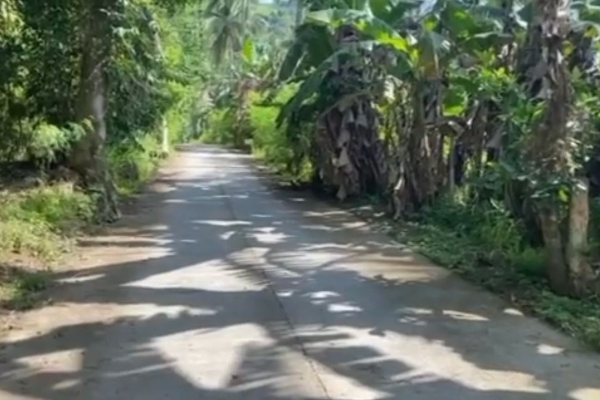 Land for Sale in Pulong Niogan, Mabini, Batangas – photo 4