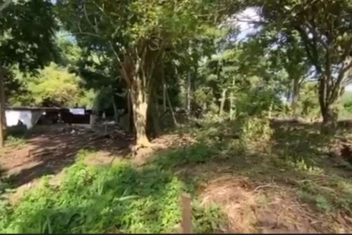 Land for Sale in Pulong Niogan, Mabini, Batangas – photo 6