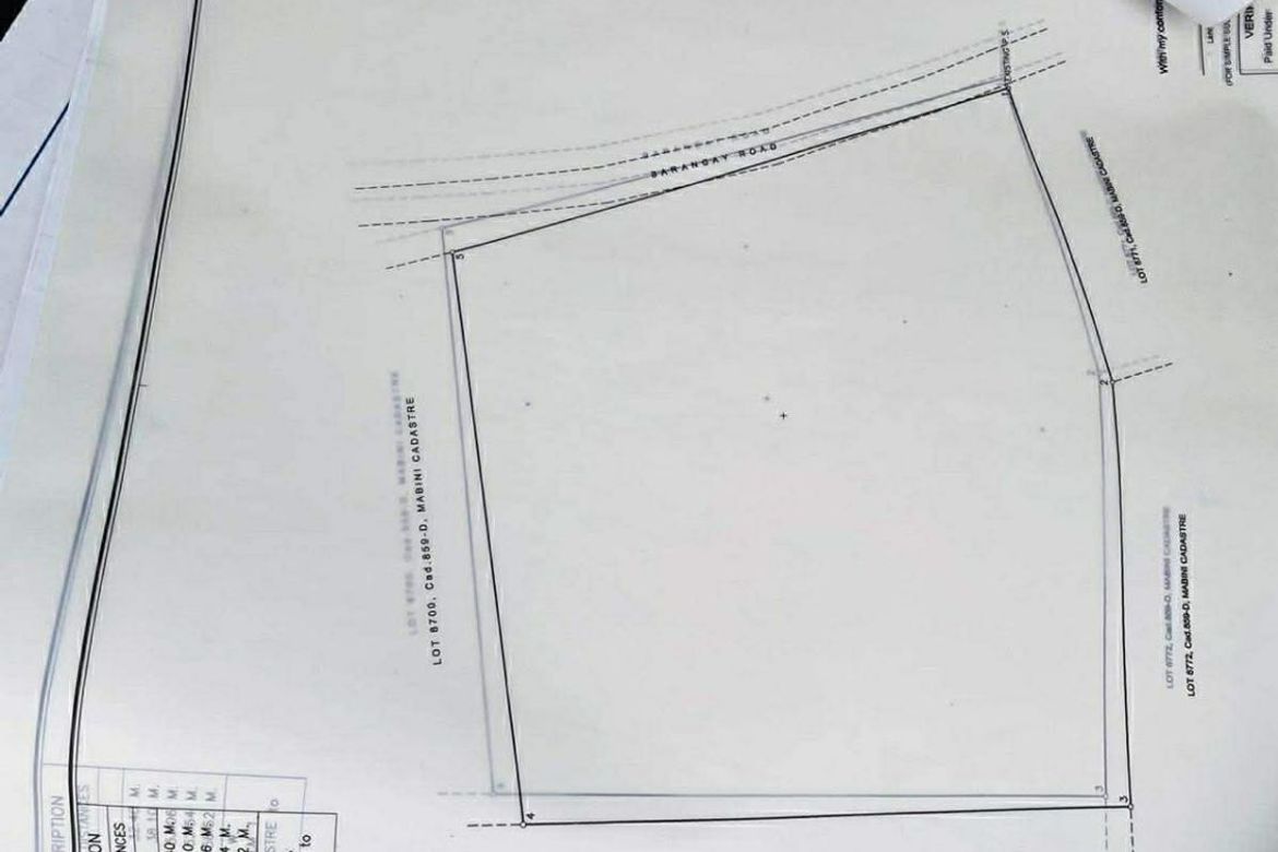 Land for Sale in Pulong Niogan, Mabini, Batangas – photo 7