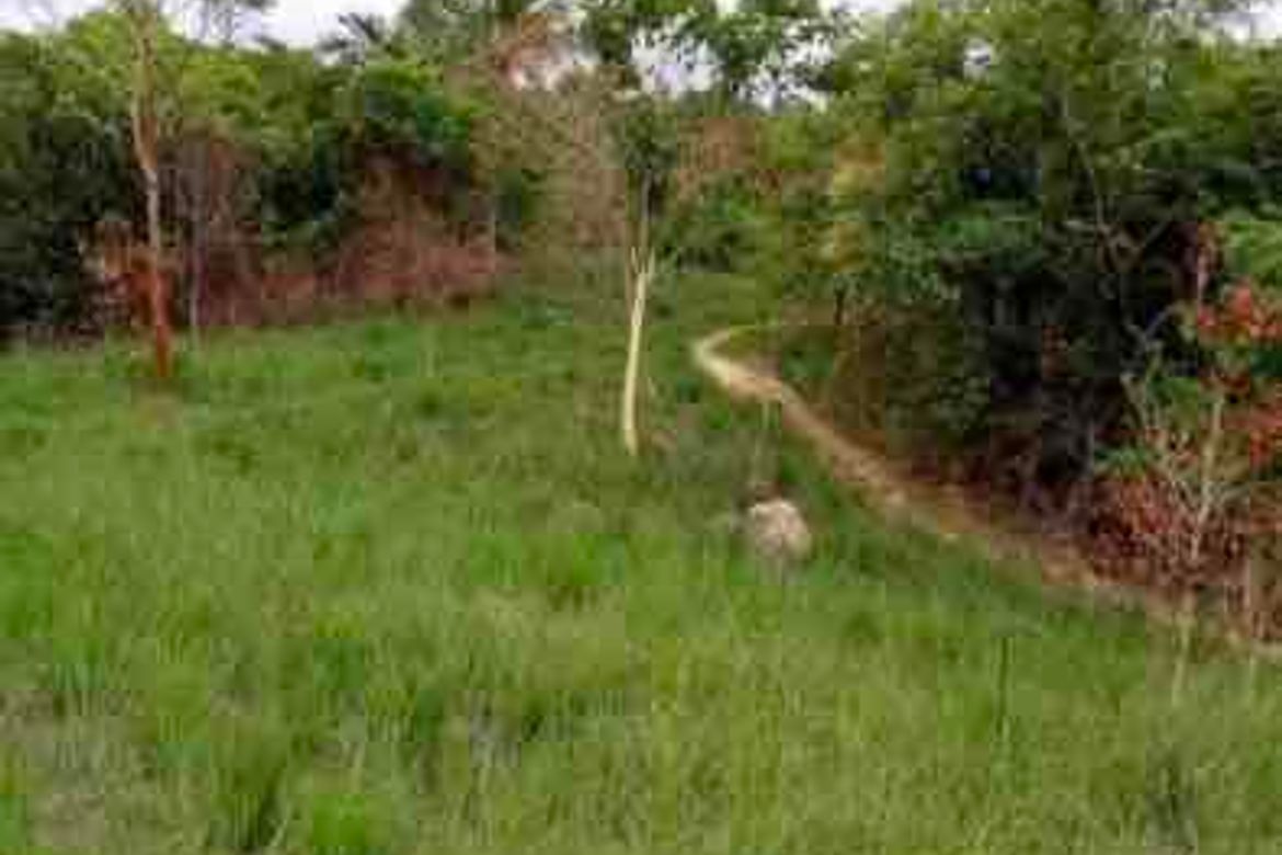 Land for Sale in Pulong Sampalok, Doña Remedios Trinidad, Bulacan – photo 2