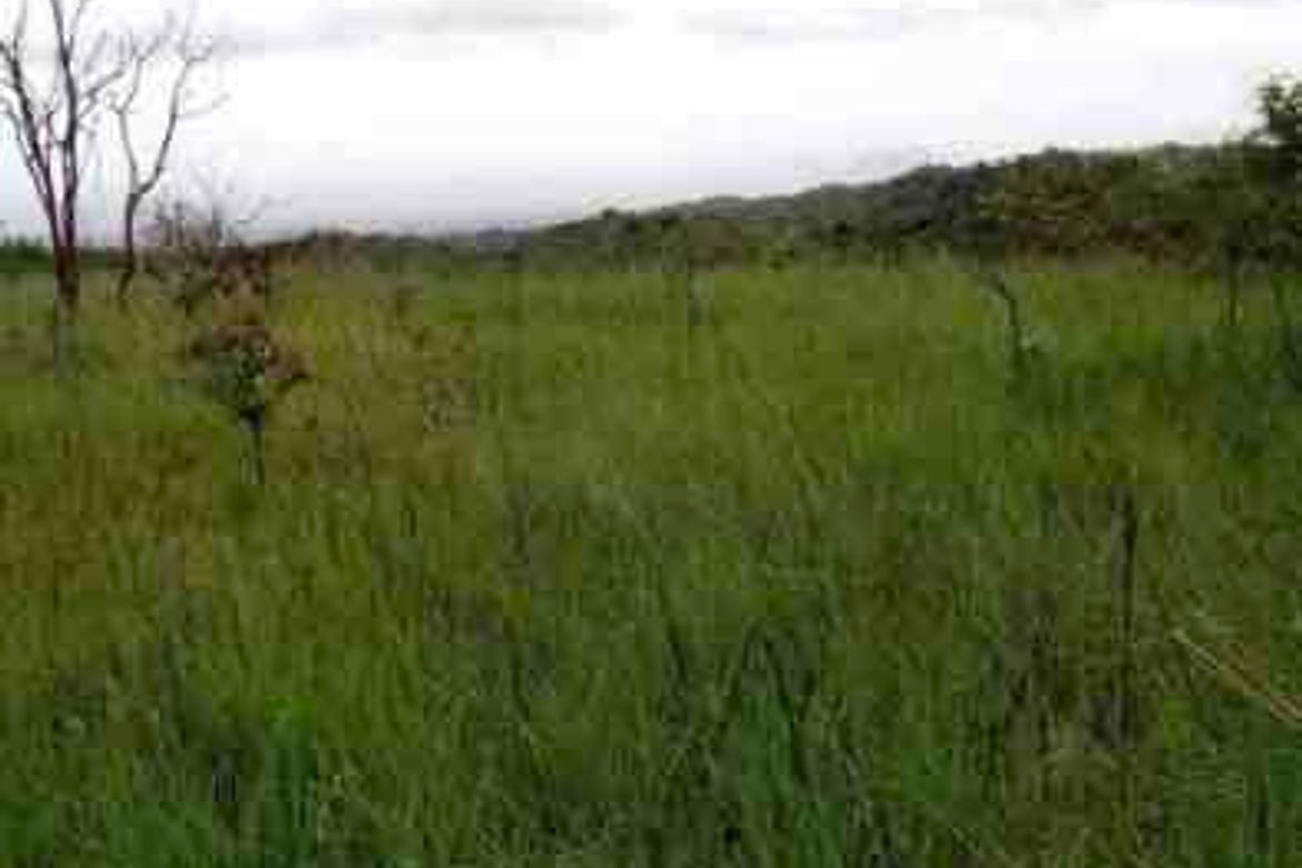Land for Sale in Pulong Sampalok, Doña Remedios Trinidad, Bulacan – photo 3