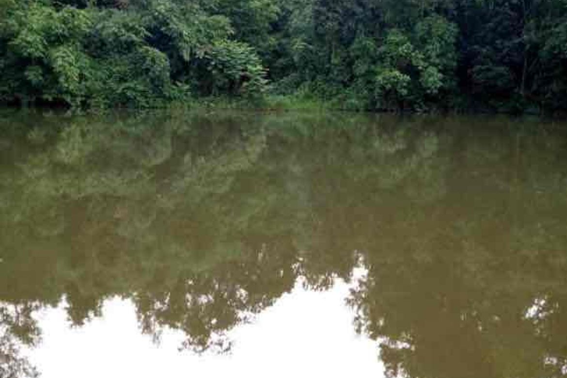 Land for Sale in Pulong Sampalok, Doña Remedios Trinidad, Bulacan – photo 6