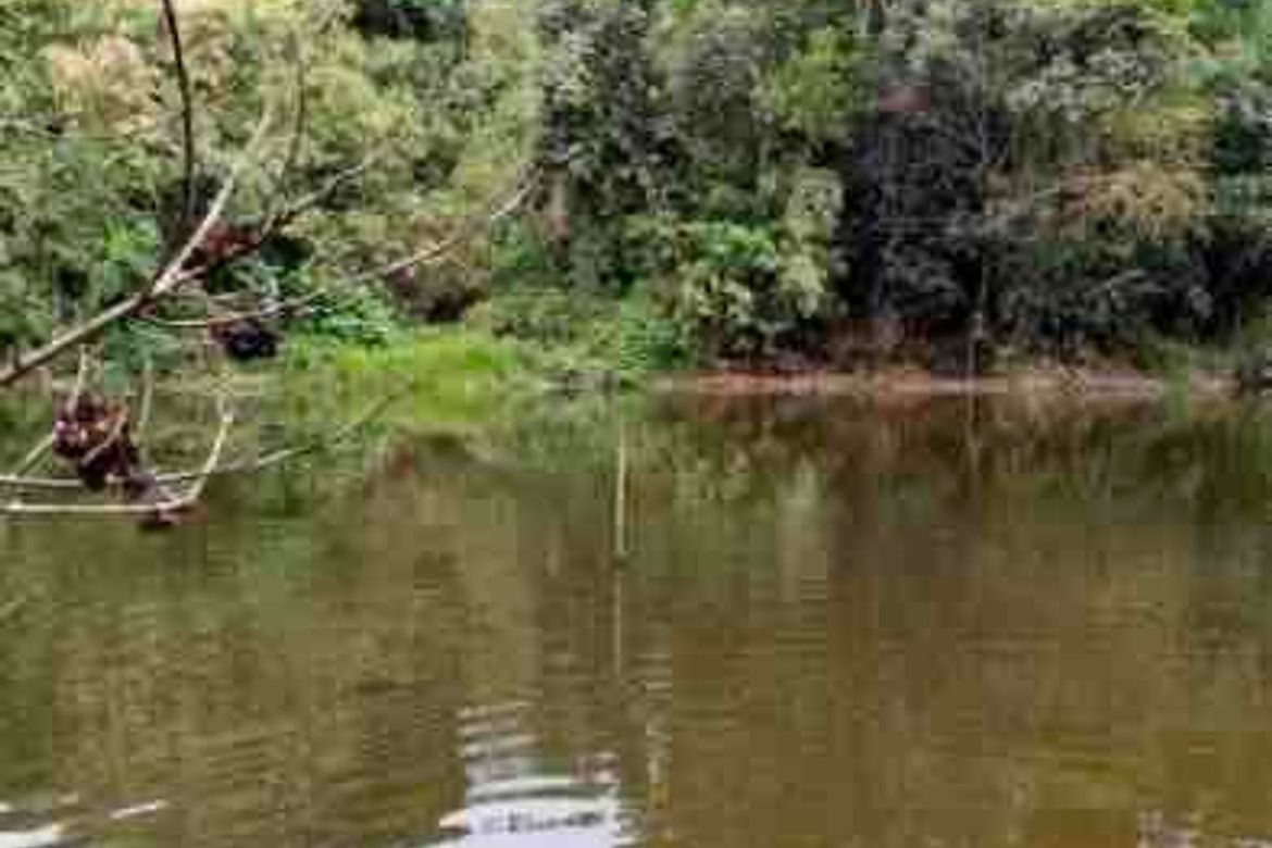 Land for Sale in Pulong Sampalok, Doña Remedios Trinidad, Bulacan – photo 7