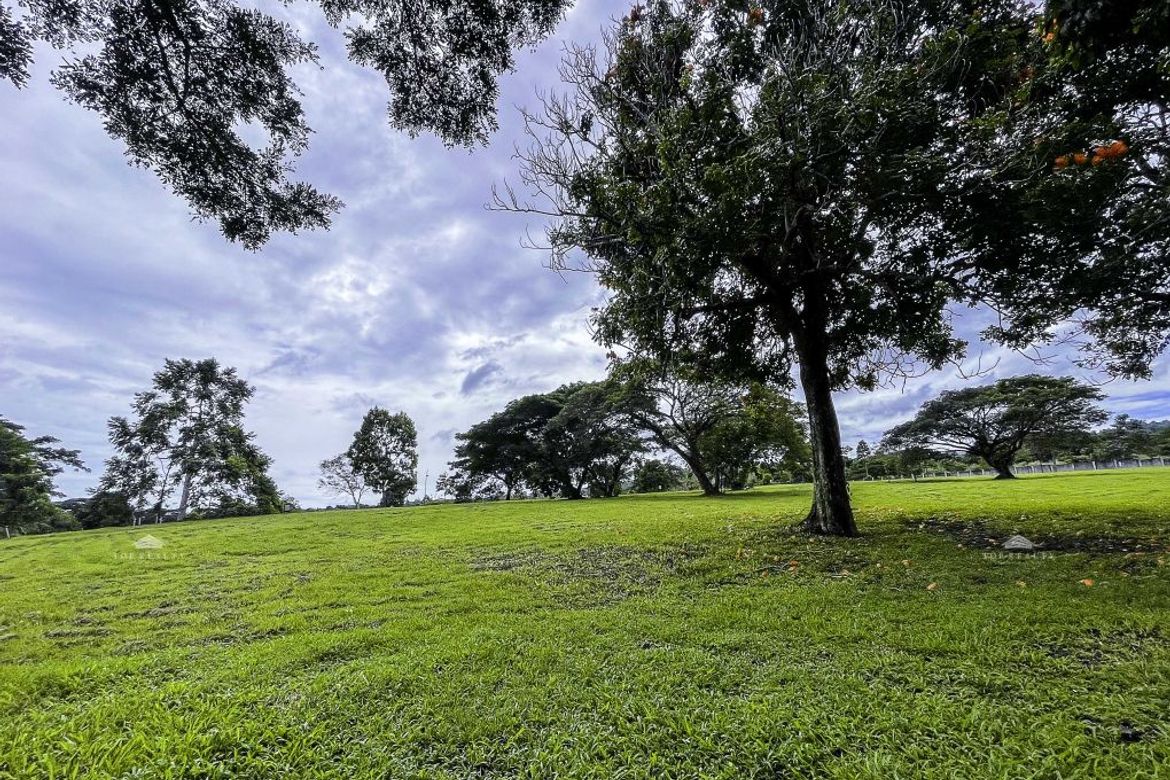 Land for Sale in Pulong Santa Cruz, Santa Rosa, Laguna – photo 2