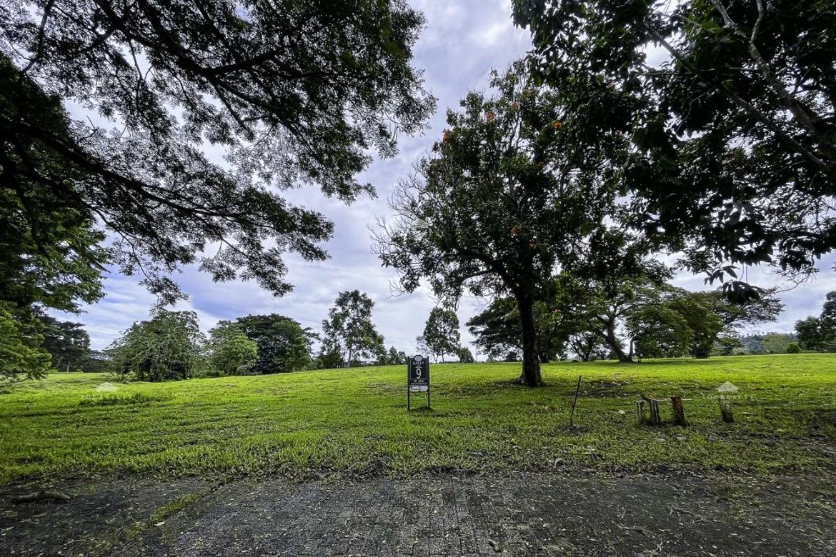 Land for Sale in Pulong Santa Cruz, Santa Rosa, Laguna – photo 4