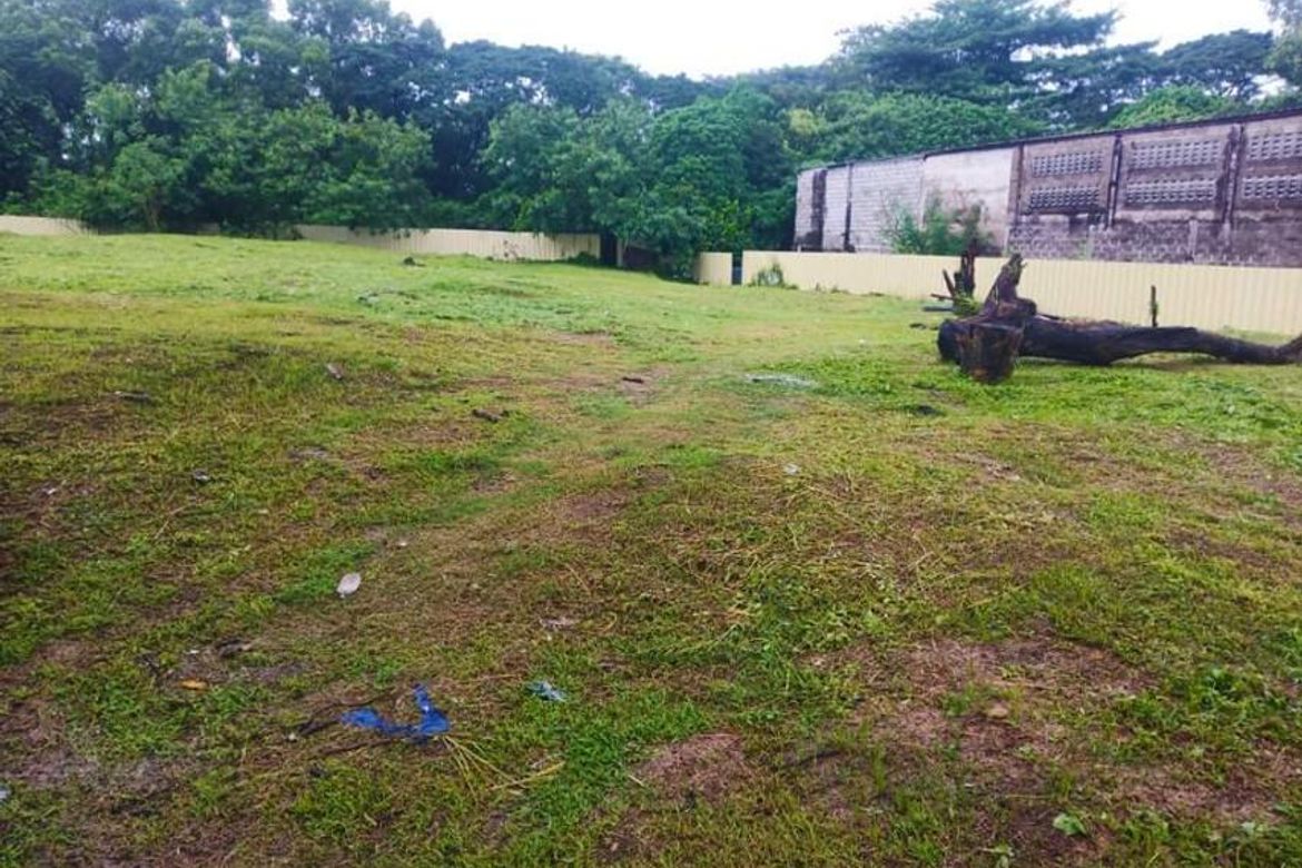 Land for Sale in Pulong Santa Cruz, Santa Rosa, Laguna – photo 4