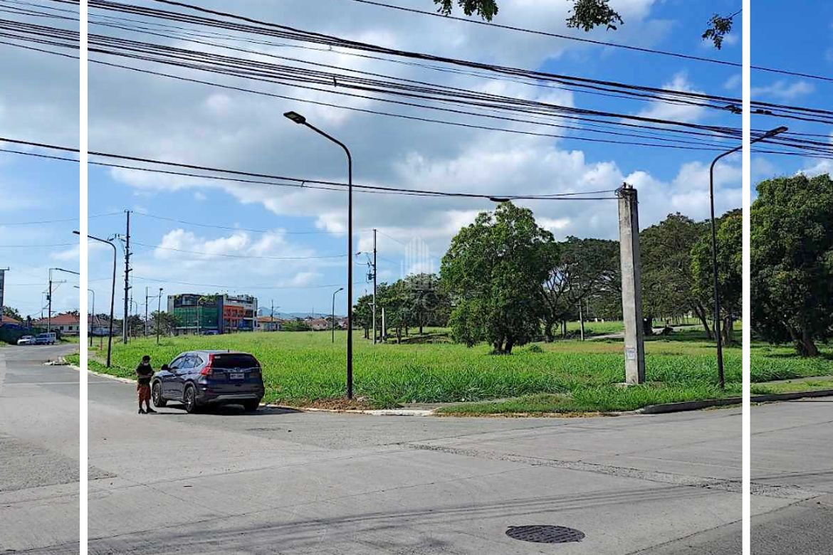 Land for Sale in Pulong Santa Cruz, Santa Rosa, Laguna – photo 3
