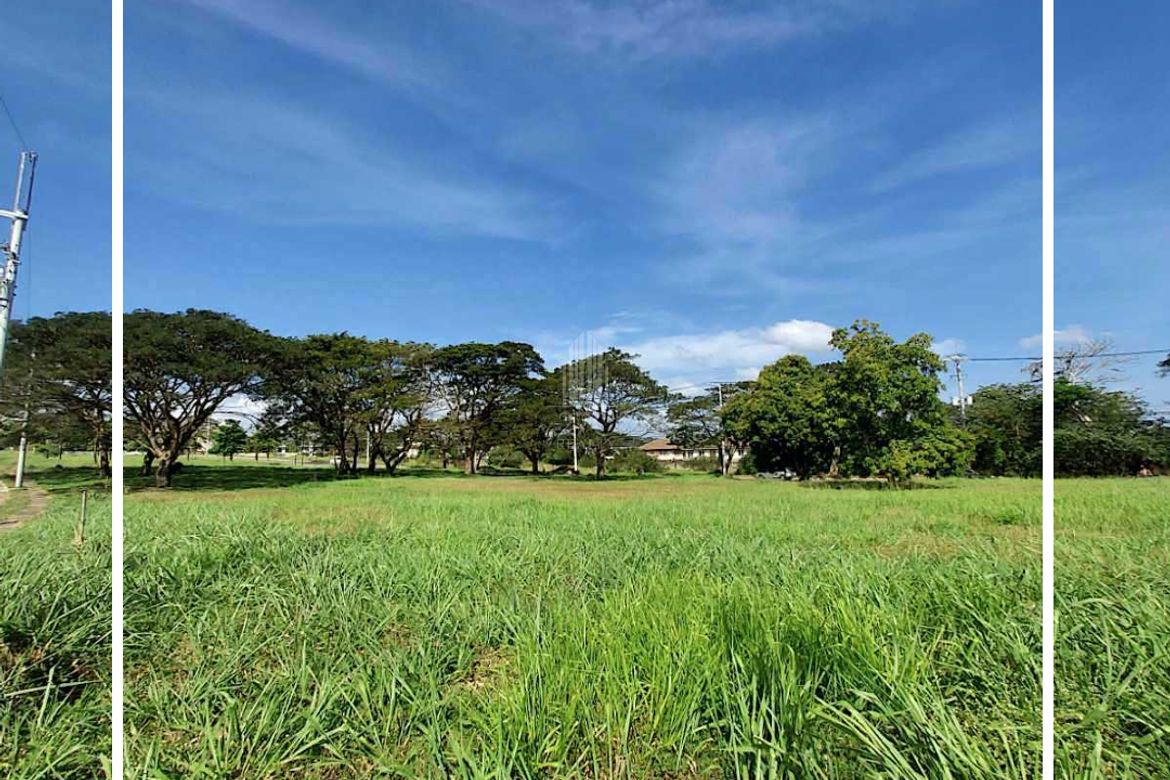 Land for Sale in Pulong Santa Cruz, Santa Rosa, Laguna – photo 4