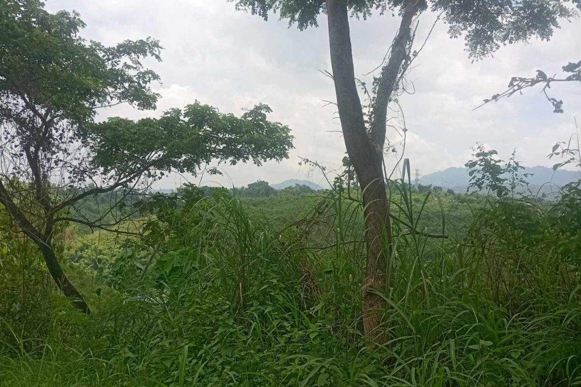 Land for Sale in Pulpogan, Consolacion, Cebu – photo 2