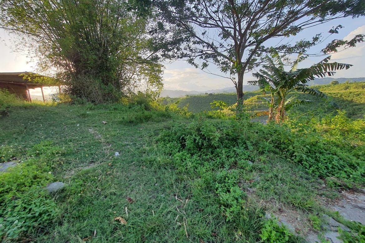 Land for Sale in Pulpogan, Consolacion, Cebu – photo 3
